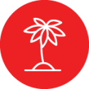 Palm Tree Icon