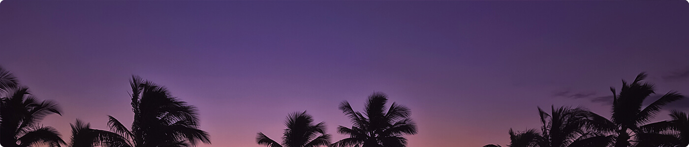 Palm tree silhouettes at dusk