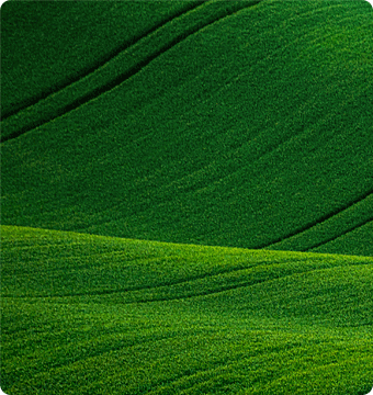 Rolling green hills