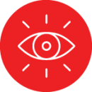 Eye Icon
