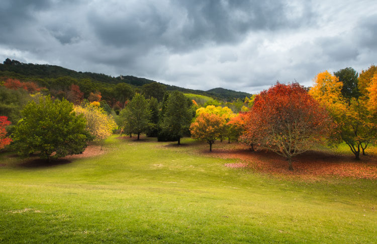 australia-autumn australia-autumn