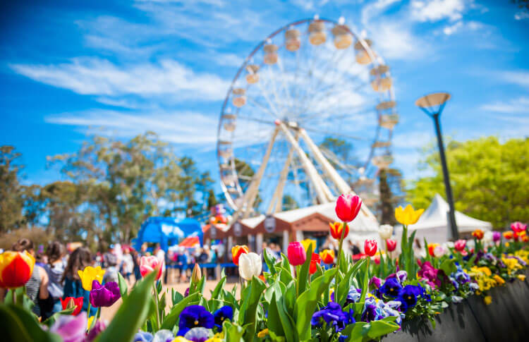 australia-spring australia-spring
