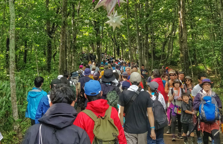 festival-fuji