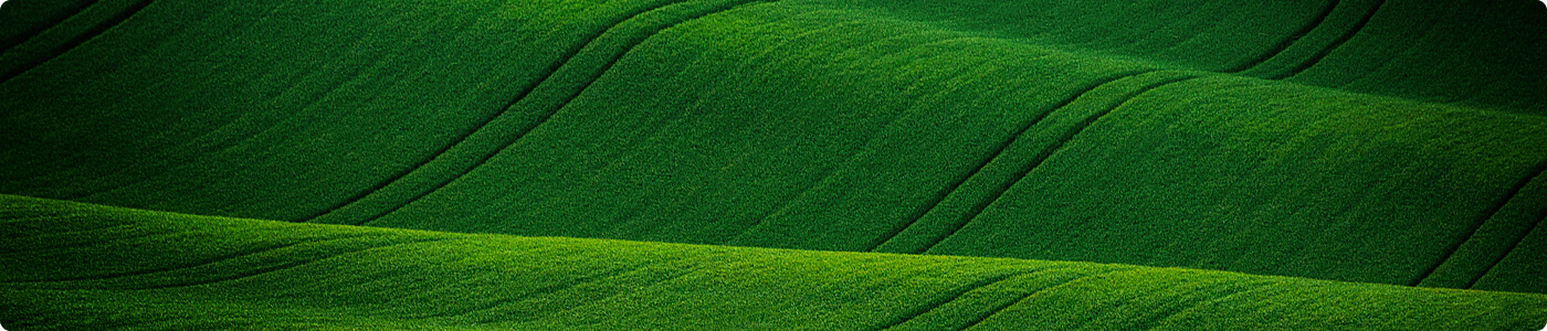 Green rolling hills